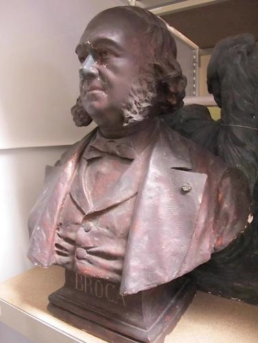 Buste, Paul Broca (1824-1880) au Muséum national d'Histoire naturelle de Paris