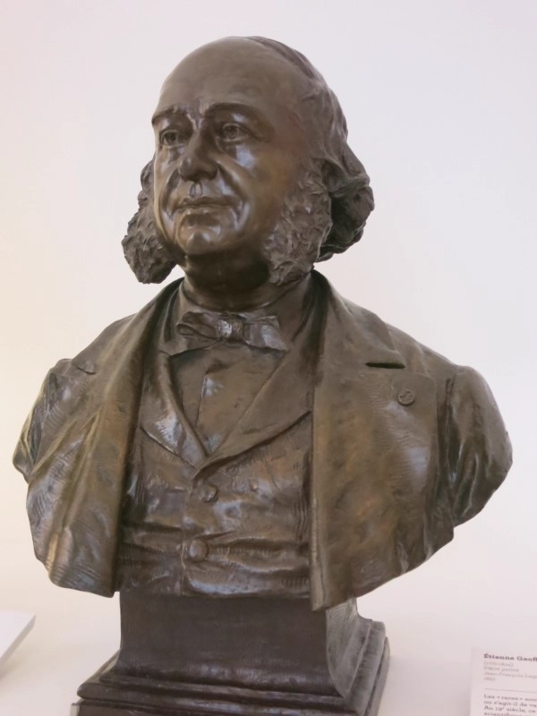 Buste en bronze de Paul Broca Musée de l'Homme Paris