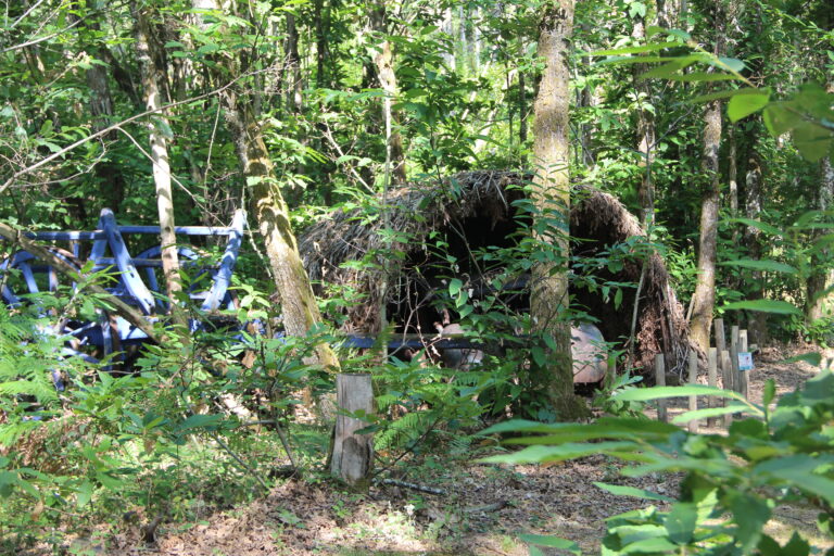 Camouflage des véhicules