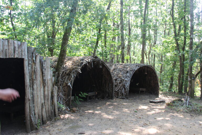 "Chambres"sous feuillus